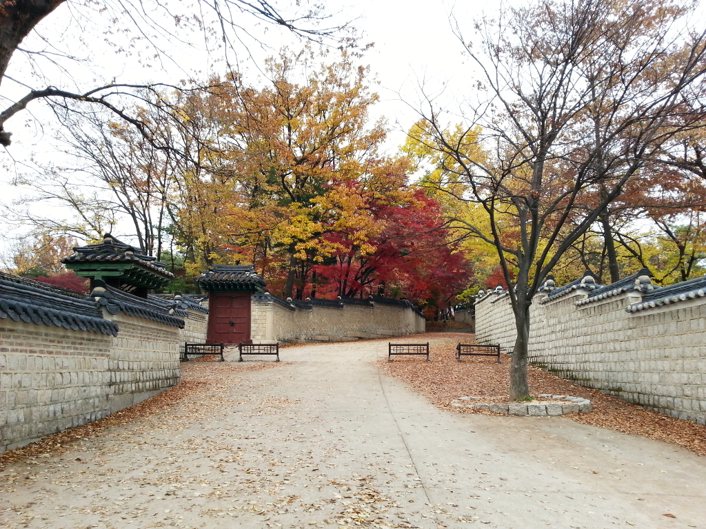 Travel Photographer | Autumn 창덕궁 (Changdeokgung) Seoul South Korea